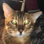 Profile Picture of Sofya Gerasimova (@sofyagerasimova760) on Youtube