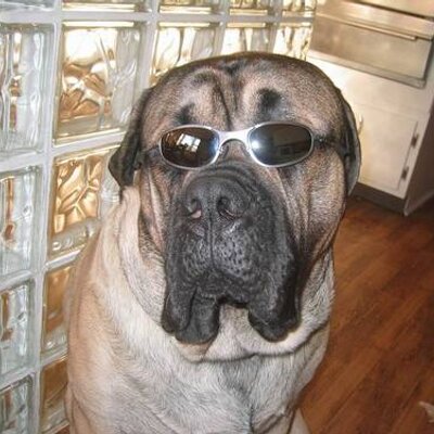 Profile Picture of Dan Franovich (@spyderhere) on Twitter