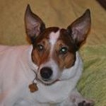 Profile Picture of Patricia Houyoux (@houyouxpatricia) on Instagram