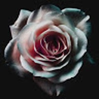 Profile Picture of Thriezhia Mendevil (@thriezhia-mendevil) on Quora