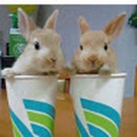 Profile Picture of Isabelle Wright (@isabelle-wright-37) on Quora