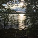 Profile Picture of Dianne Brady Walzer (@dianne_6_6) on Instagram