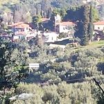 Profile Picture of Diana Schumann (@diana.schumann.125) on Instagram