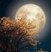 Profile Picture of Nelda Thomas (@nelda.thomas.77) on Facebook