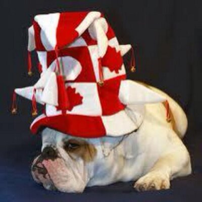 Profile Picture of David Ezra (@daveed_76) on Twitter