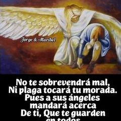 Profile Picture of David Triano (@@davidtriano) on Tiktok