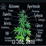 Profile Picture of Daniel Raggio (@daniel.raggio.9) on Instagram