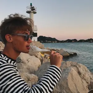 Profile Picture of Hugo  (@hugoburlinnystrom) on Tiktok