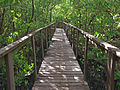 Boquerón State Forest - Wikipedia Profile Picture of Boquerón State Foreston Wikipedia