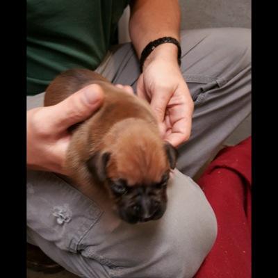 Profile Picture of Colton Scott Trimble (@Colton_Games) on Twitter