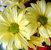 Profile Picture of Frances Hussey (@frances.hussey.5) on Facebook