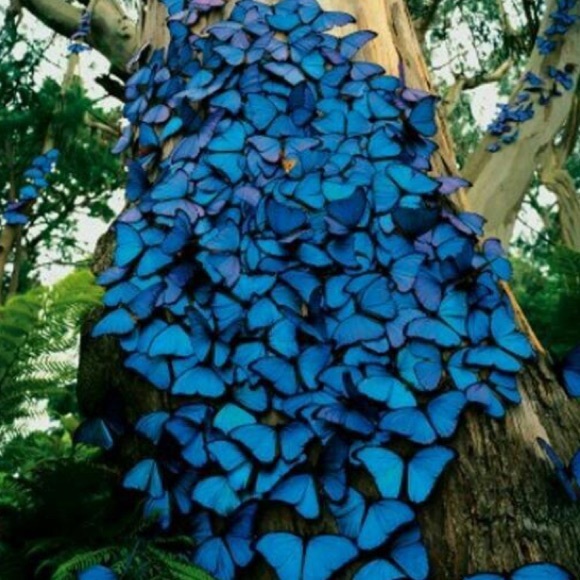 Profile Picture of Christina Hulka (@chrissydh) on Poshmark