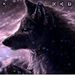 Profile Picture of Calvin Limantio (@calvinlimantio) on Pinterest