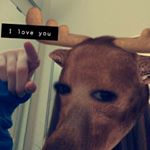 Profile Picture of Hailey Miles💀 (@haileymiles.spam) on Instagram