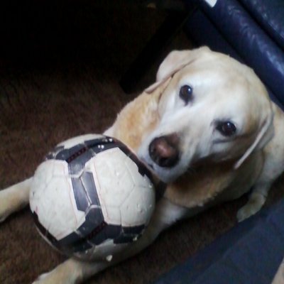 Profile Picture of Stephen Irvine (@IrvineStevie) on Twitter