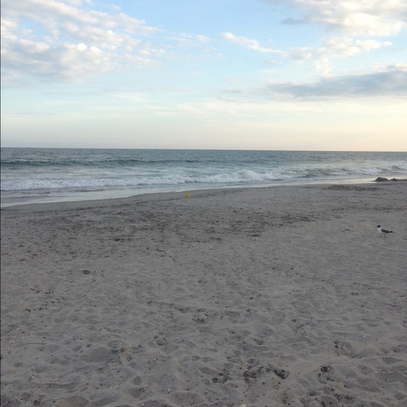 Profile Picture of Amanda Darley (@adarley) on Poshmark