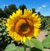 Profile Picture of Linda Beer (@linda.beer.5) on Facebook