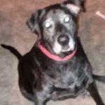 Profile Picture of Joseph Cieslak (@joe_cieslak) on Instagram