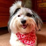 Profile Picture of Shawn Bowen (@shawnbowenky) on Instagram