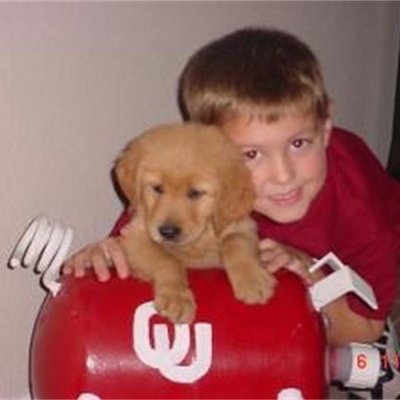 Profile Picture of GOLDEN RETRIEVER PUPPIES (@TruettPam) on Twitter