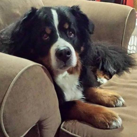 Profile Picture of Janet Menzie-denneny (@jab024) on Poshmark