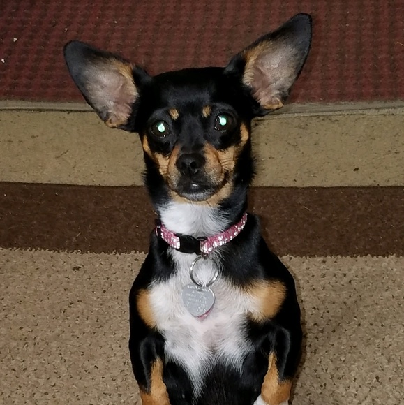 Profile Picture of Julia Frantzich (@juls7373) on Poshmark