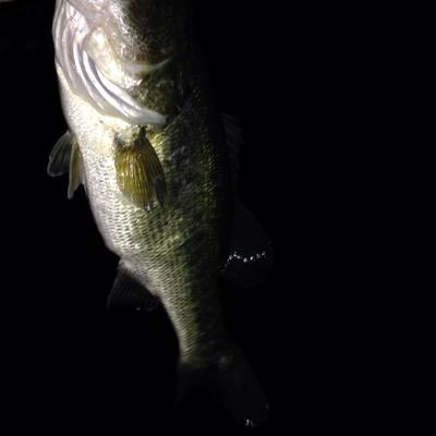 Jacob Spires - Twitter Profile Picture of Jacob Spires (@jwspires14) on Twitter