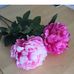 Profile Picture of Gianna Scarpa (@gianna.scarpa.94) on Facebook