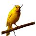 Profile Picture of Frank Stefaniak (@frank.stefaniak.904) on Facebook