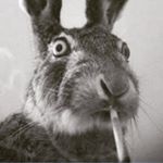 Profile Picture of Martín Núñez y wea (@bakuryu_burroughs) on Instagram