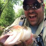 Profile Picture of Brian Ripple (@brianripple) on Instagram