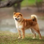 Profile Picture of Aime La Pierre (@Aime-La-Pierre) on Facebook