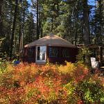 Profile Picture of Yurt Burt USA (@yurt_burt) on Instagram