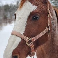 Profile Picture of Tia Baldwin (@tia-baldwin-11) on Quora