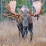 Boyd Richardson - Instagram Profile Picture of Boyd Richardson (@boyd_richardson) on Instagram