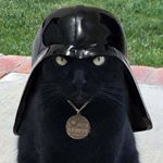 Mike Duffy - Instagram Profile Picture of Mike Duffy (@m_duffy) on Instagram