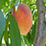 Profile Picture of Dduck65 (@dduck65) on Flickr