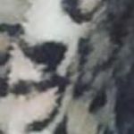 Profile Picture of Christopher Romanwitz (@christopheraldfkgefbfei) on Instagram