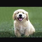 Profile Picture of Jonathan McAdams (@jay._.macerdems) on Instagram