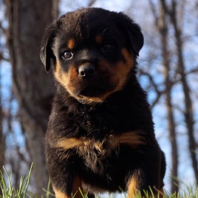 Profile Picture of Chris Arvanitis (@chrisjul20) on Twitter