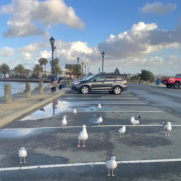 Profile Picture of Joshua Pang (@joshuapang) on Poshmark