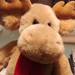 Profile Picture of David Spitzer (@spitzer.david85) on Instagram