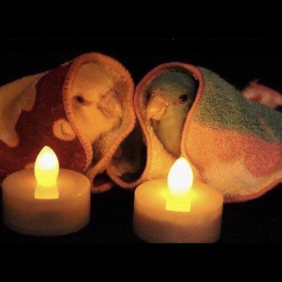 Profile Picture of Tim Kreidler (@tkreed91) on Poshmark