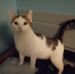 Profile Picture of Peter Savoy (@peter.savoy.520) on Facebook