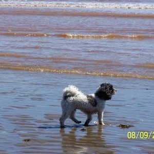 Profile Picture of Shelley Killam-Farr (@JaniceErinFarr1) on Twitter