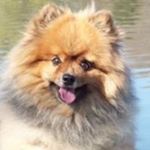 Profile Picture of Edward Matos (@edwardmatos) on Instagram