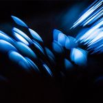 Paul Simon - Instagram Profile Picture of Paul Simon (@vermillionfish) on Instagram