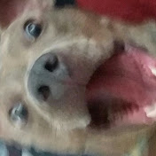 Profile Picture of Aj Thompson (@ajthompson6504) on Youtube