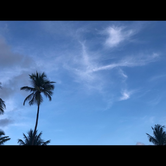 Dallas Cheston - Poshmark Profile Picture of Dallas Cheston (@dc416) on Poshmark