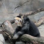 Profile Picture of Darren Chambers (@etouffee1914) on Instagram